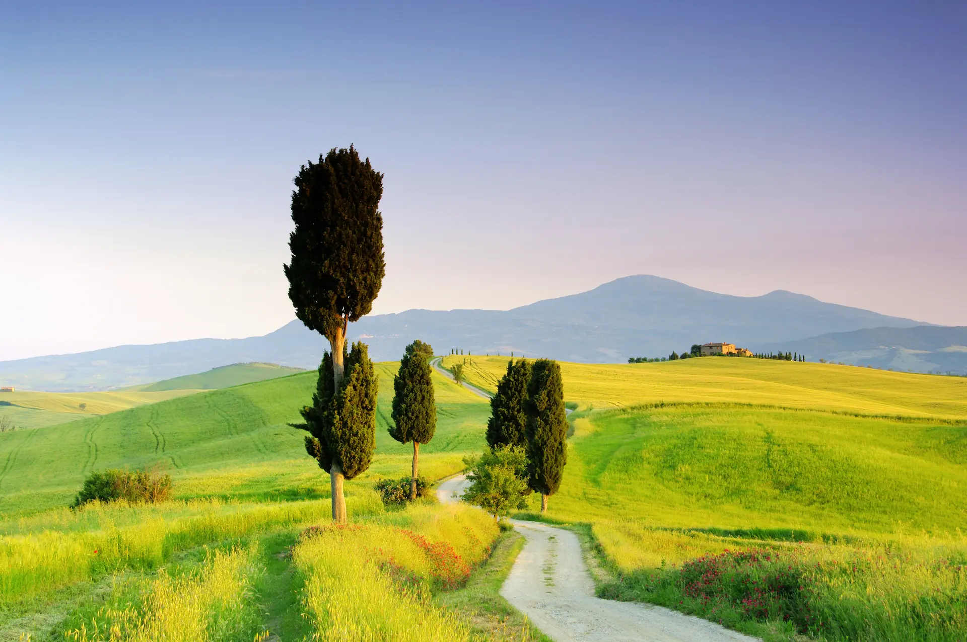 Nature & landscapes
